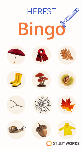 Herfst Bingo voor een pedagogisch medewerker in de BSO